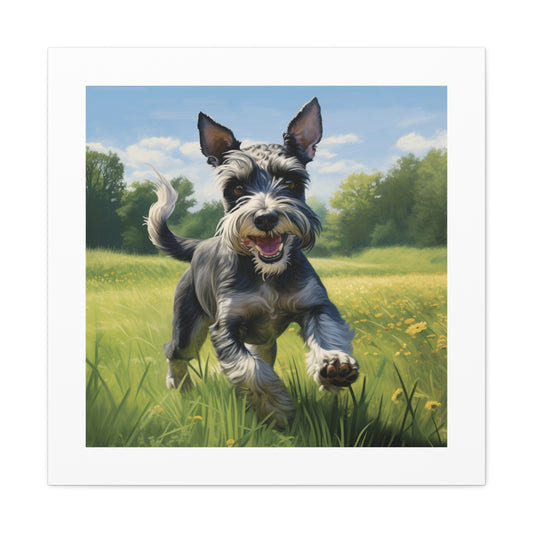 Jubilant Schnauzer Pasture Print