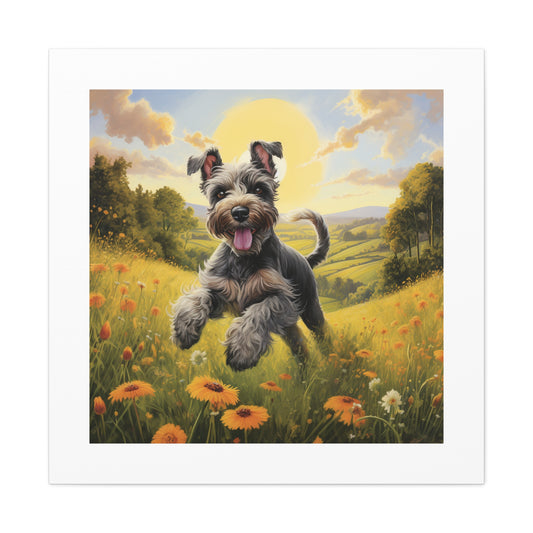 "Joyful Miniature Schnauzer Print"