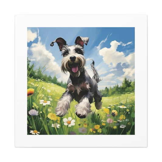 Miniature Schnauzer Pasture Print