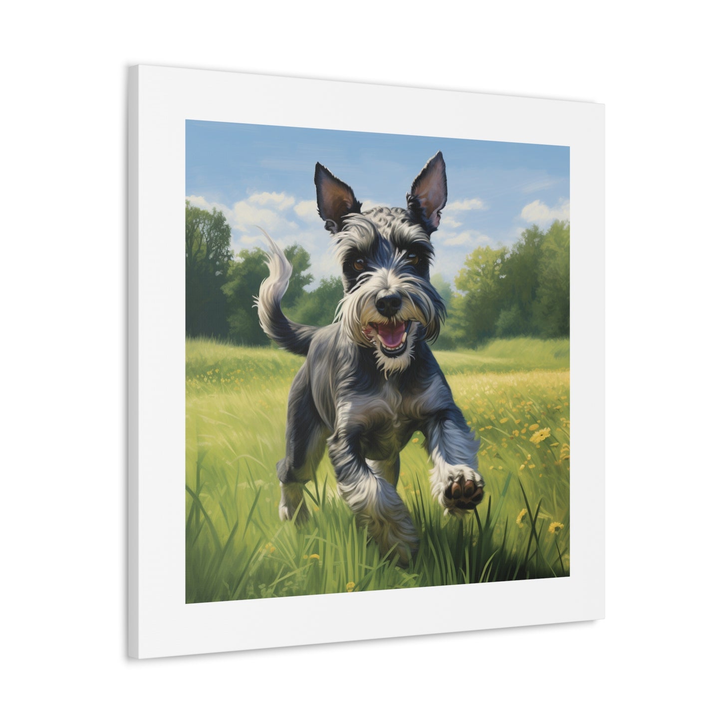 Jubilant Schnauzer Pasture Print