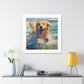 "Joyful Golden Retriever Splash"