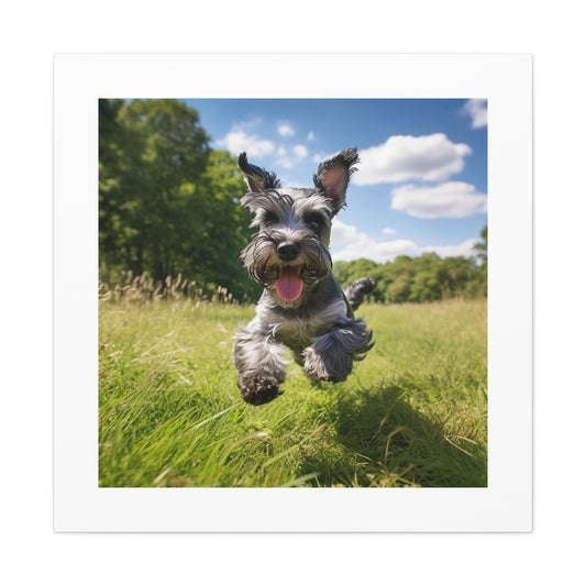 Joyful Schnauzer Pastoral Print