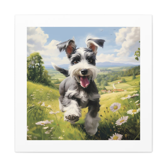 "Schnauzer's Pastoral Joy"