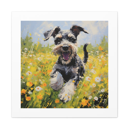 Joyful Miniature Schnauzer Print