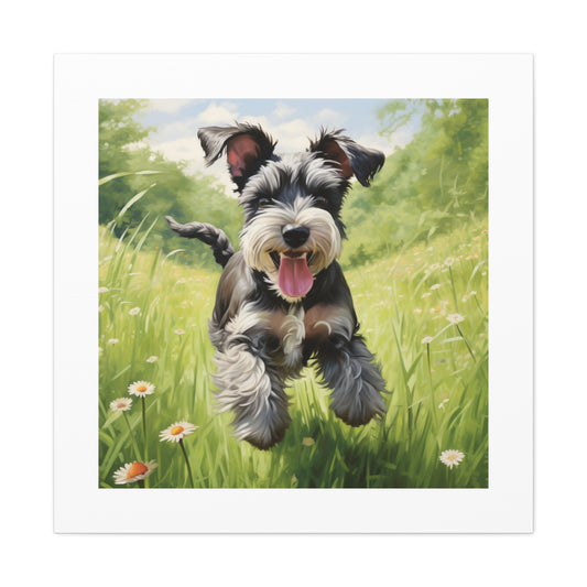 Joyful Schnauzer Meadow Print