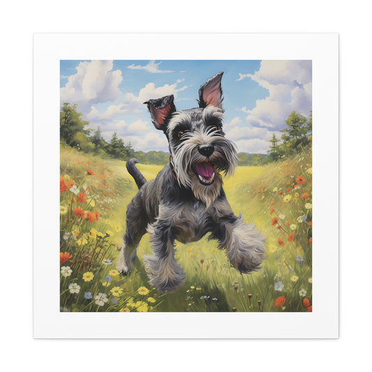 "Miniature Schnauzer Funscape"